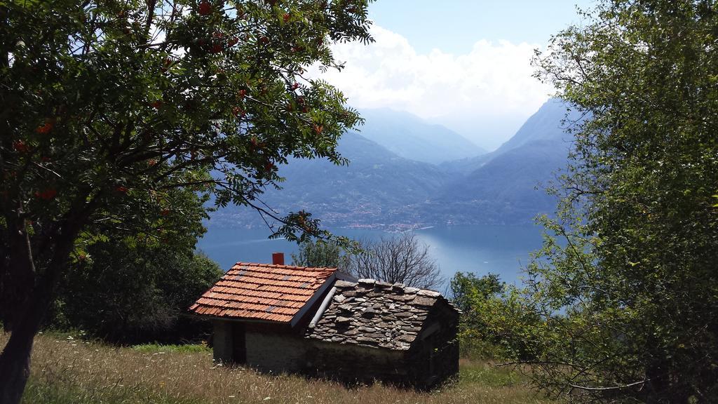 Lake Como View Apartement Allegro Acquaseria Quarto foto